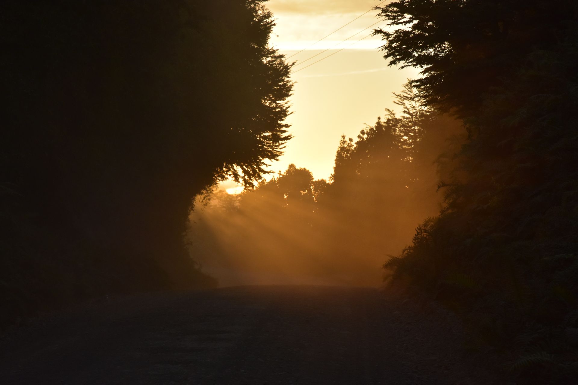 BaltiCCycle 2026: Omanas