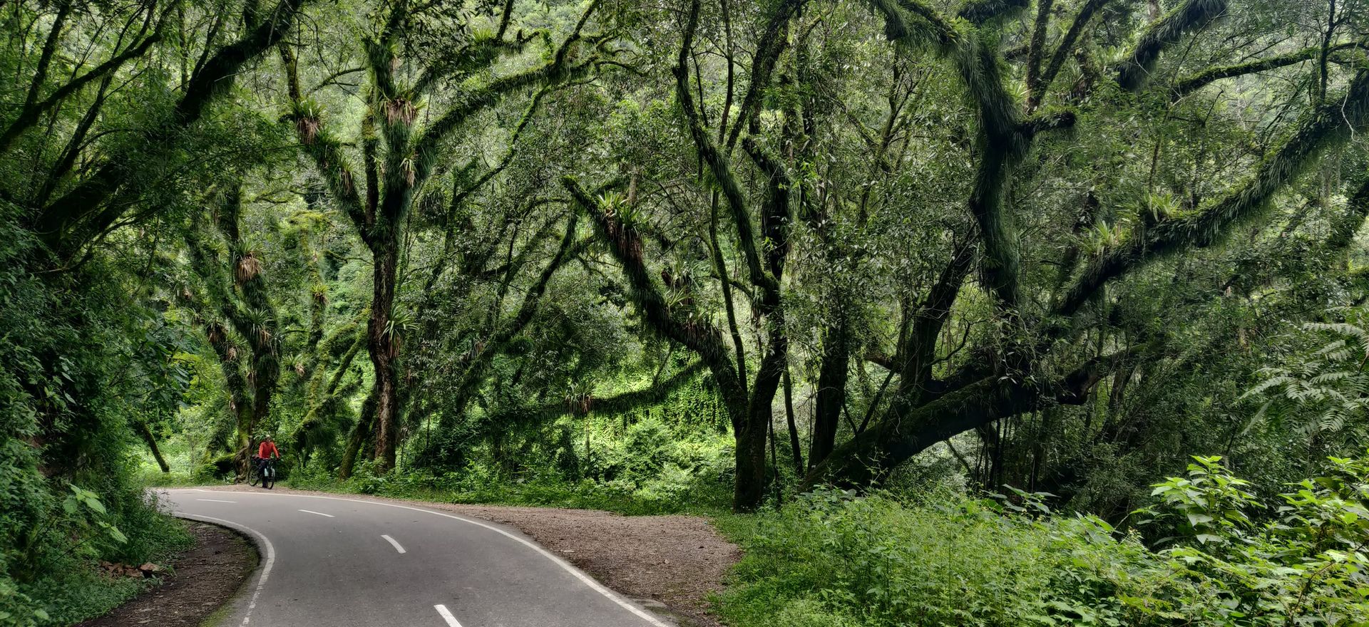 BaltiCCycle 2022: Iš Rio de Žaneiro į Tokiją /tęsinys, 2 and 3 dalys/